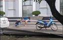 Hà Nội: Dân giăng “bẫy” dây thép gai ở chung cư Hateco Apollo