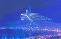 Ngắm hơn 1.600 drone vẽ tranh ánh sáng trên bầu trời Nha Trang