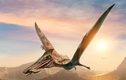 Phát hiện “quái vật' đầu chim, đuôi khủng long, chấn động cả giới khảo cổ