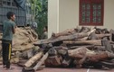 Hơn 1,5 tấn gỗ quý vận chuyển bằng máy bay bị bắt