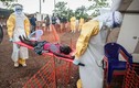 Lộ danh tính 2 người tung tin đồn VN có dịch Ebola