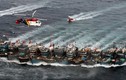 Hàn Quốc bắn hơn 200 phát đạn răn đe tàu cá TQ