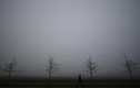 Kỳ ảo Bắc Ireland ẩn mình trong sương mù