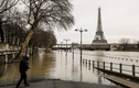 Nước lũ dâng cao, Paris chìm trong nước sông Seine