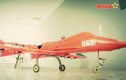 Thán phục thiết kế UAV tốc độ cao UAV-02 của Việt Nam