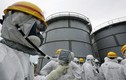 Thảm họa hạt nhân Fukushima và 7 năm bế tắc của người Nhật