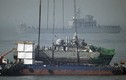 Triều Tiên muốn được "minh oan" trong vụ tàu chiến Cheonan?