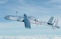 Báo Pháp: Israel bí mật chào bán siêu UAV cho Việt Nam