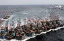 Lầu Năm Góc "mổ xẻ" lực lượng dân quân biển Trung Quốc