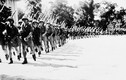 Xây dựng lực lượng vũ trang Việt Nam trong những ngày đầu độc lập