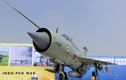 Ngạc nhiên món đặc biệt Không quân Ấn Độ tặng cho Tổng thống Putin
