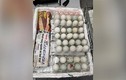 Người Việt mang 490 trứng vịt lộn vào Singapore bị phạt 5.000 USD
