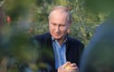 Tổng thống Putin chia sẻ bí quyết làm việc hiệu quả