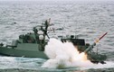 Nhật loại biên tàu tên lửa Hayabusa, cơ hội cho Việt Nam?