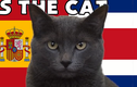 Mèo tiên tri, rùa thần dự đoán sốc tỉ số World Cup 2022 23/11 