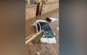 Thánh địa Mecca của Saudi Arabia bị lũ lụt tàn phá