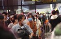 Tết Quý Mão 2023: Sân bay Tân Sơn Nhất sẽ đón 120.000 khách/ngày 