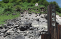 Nhiều lợn rừng bỏ mạng tại hòn đá “phong ấn cáo chín đuôi” Nhật Bản