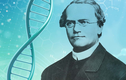 Khai quật hài cốt “cha đẻ” ngành di truyền học Mendel, bất ngờ sự thật 