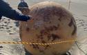 “Vật thể lạ” trên bãi biển Nhật Bản nghi dính líu người ngoài hành tinh