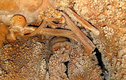 Lộ danh tính người đàn ông được thiên nhiên ướp xác 130.000 năm