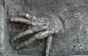 Hố chôn 12 bàn tay hé lộ “mặt tối” của nền văn minh Ai Cập 