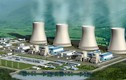 Ninh Thuận hủy thông báo thu hồi đất cho nhà máy điện hạt nhân