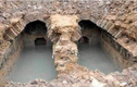Mở mộ cổ 2.000 năm, sốc ngang khi thấy “quái thú” bò ra
