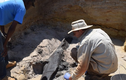 Phát hiện vật thể lạ 500.000 tuổi: Lộ bí mật tổ tiên loài người