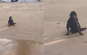 “Người ngoài hành tinh đen” trên bãi biển: Té ngửa khi biết sự thật! 