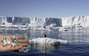 Phát hiện “kho báu” 1.800 năm ở Nam Cực: Rùng mình nguồn gốc!