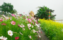 Check-in vườn hoa rực rỡ “Đi về nơi có gió” ở Quảng Ngãi
