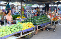 Chợ truyền thống, siêu thị ‘ảm đạm’ ngày giáp Tết