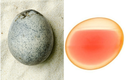 Kỳ lạ quả trứng gà 1.700 năm, bên trong vẫn nguyên vẹn như mới