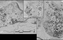 'Mắt thần' LiDAR quét được 'bóng ma' 1.800 tuổi ẩn khuất