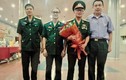 GS.TS Nguyễn Xuân Anh: Bậc thầy chế tạo vũ khí Việt Nam