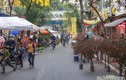 Chợ hoa trong lòng phố cổ Hà Nội vắng lặng ngày cận Tết