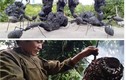 2 “dị nhân” Việt hốt bạc nhờ nghề lạ