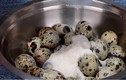 Đổ bột vào trứng cút ngâm trong 10 ngày, thành quả khiến ai cũng kinh ngạc