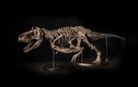 Du khách đổ xô đến xem hóa thạch T-Rex ở Singapore