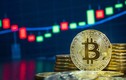 Giá Bitcoin hôm nay 5/7/2023: Không có nhiều biến động