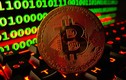 Giá Bitcoin hôm nay 6/7/2023: Sắc đỏ tràn ngập