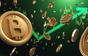 Giá Bitcoin hôm nay 14/7: Thị trường đồng loạt khởi sắc