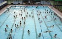 Nước bể bơi thường bị nhiễm khuẩn như thế nào?
