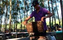 Chuyện lạ phí chồng phí của người nuôi ong ở Hà Tĩnh