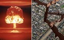 Dự báo siêu động đất “hạt nhân”, tách đôi thành phố Mỹ