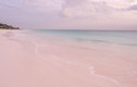 Ngẩn ngơ bãi biển cát hồng ở Bahamas 