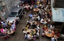 Lễ hội thịt chó ở Trung Quốc đông nghịt người bất chấp tranh cãi