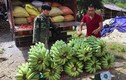 Bỏ nghề "oách xà lách" vào núi trồng 5ha chuối Thái Lan