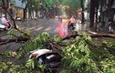 Ma trận "bẫy tử thần" trong mùa mưa bão ở Hà Nội